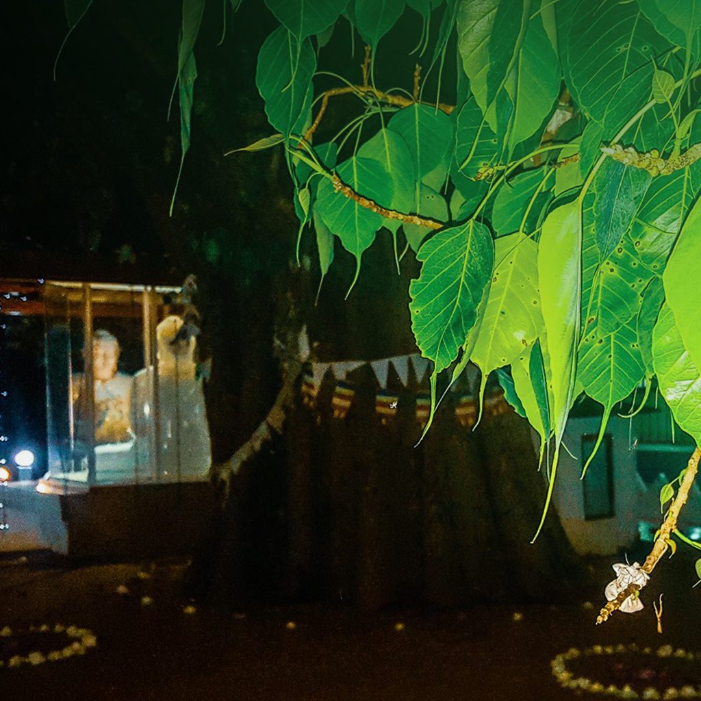 56398415_277274186545066_4655120756403863552_n