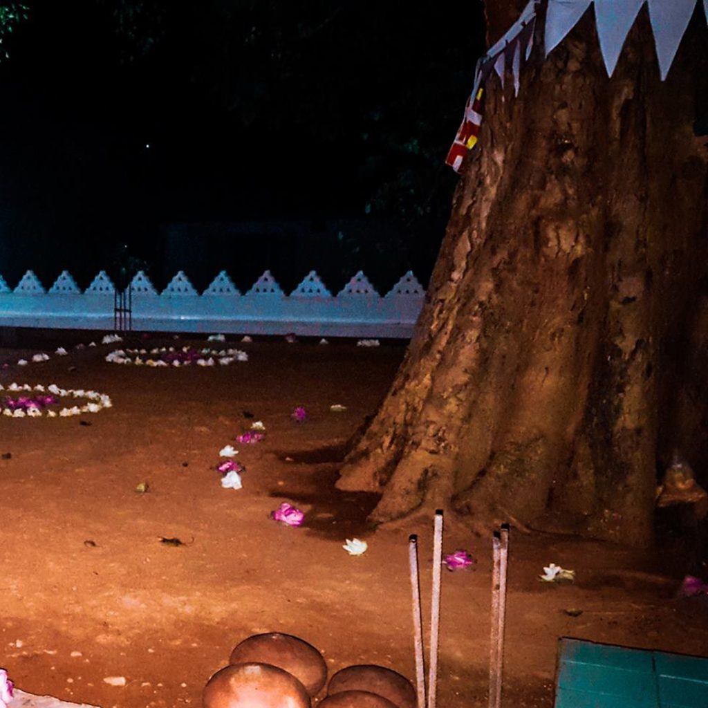 56496335_278569636415521_1695525807104983040_n