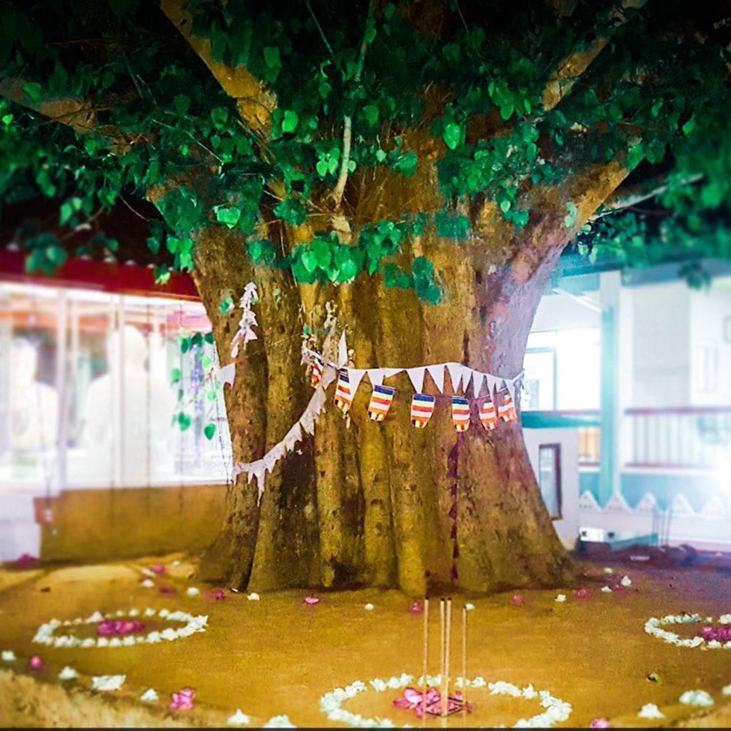 56560693_277273599878458_670962015774179328_n