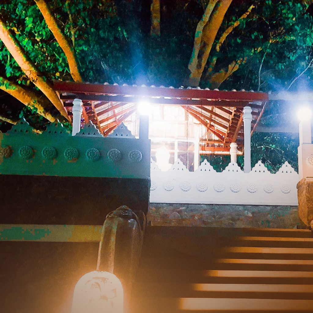 56604933_278570529748765_6925402308285038592_n