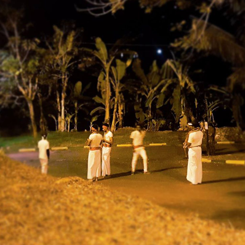 56627731_278400009765817_1511878941172826112_n