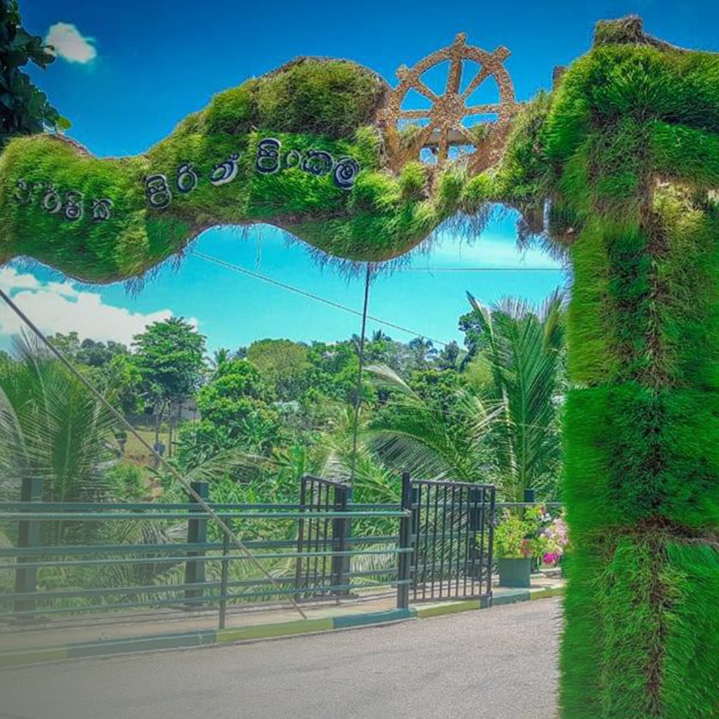 56702333_277273529878465_7046779140631953408_n