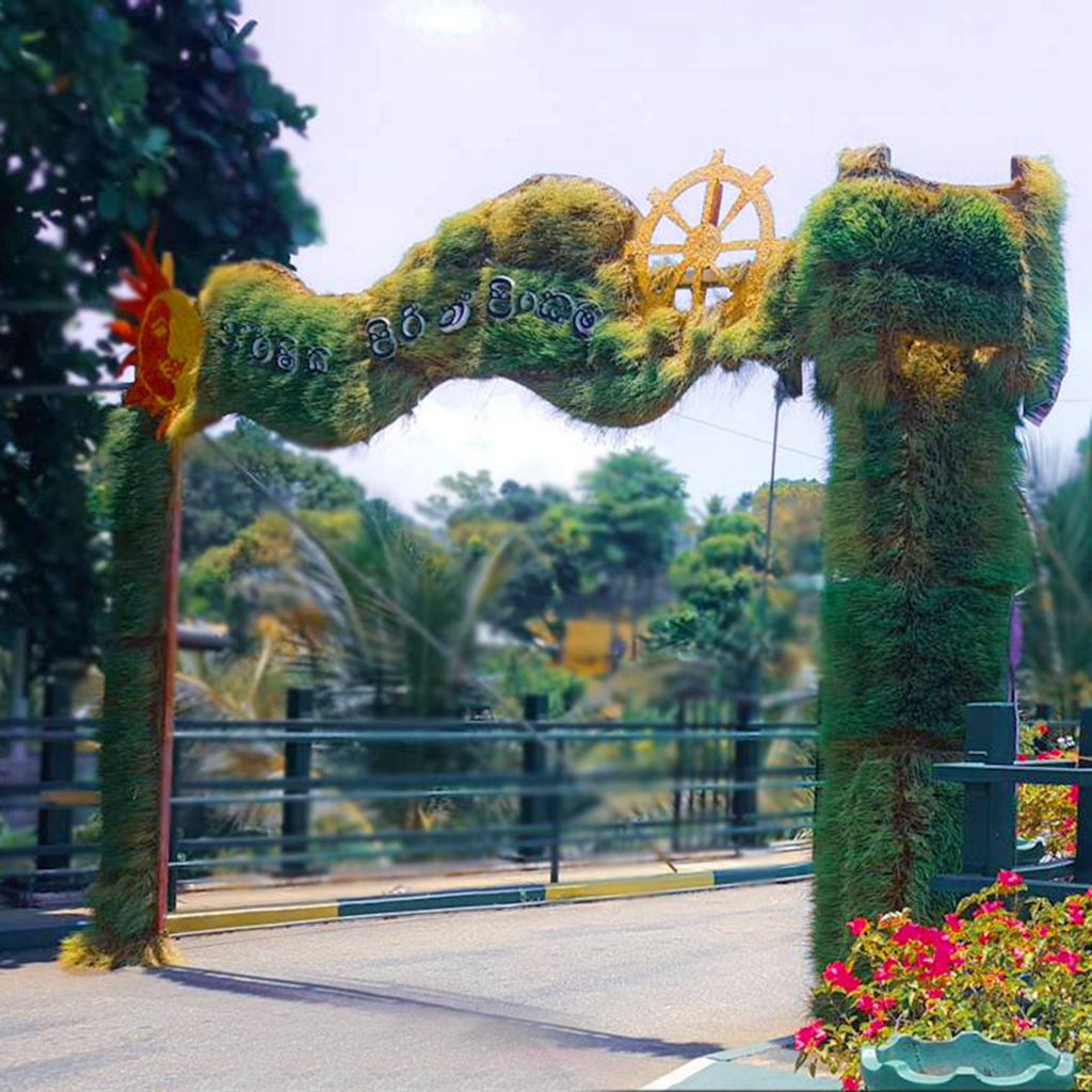 56734847_277273613211790_7043101282826977280_n