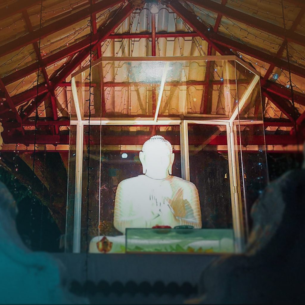 56811441_277273636545121_1932180227396468736_n