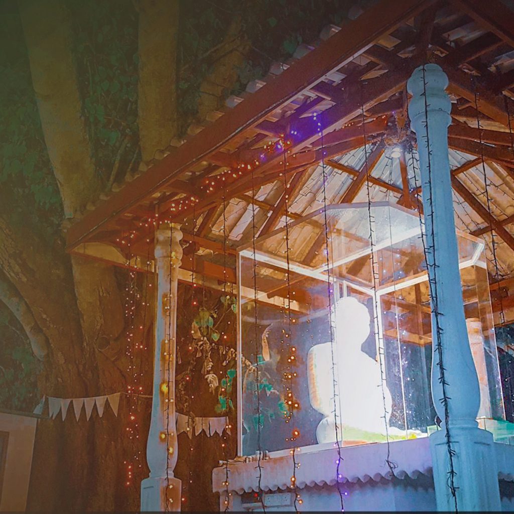 56899713_277273686545116_2478513957371904000_n