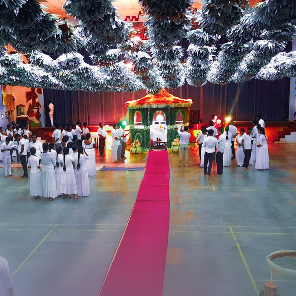 57354222_278570269748791_8421628567565107200_n