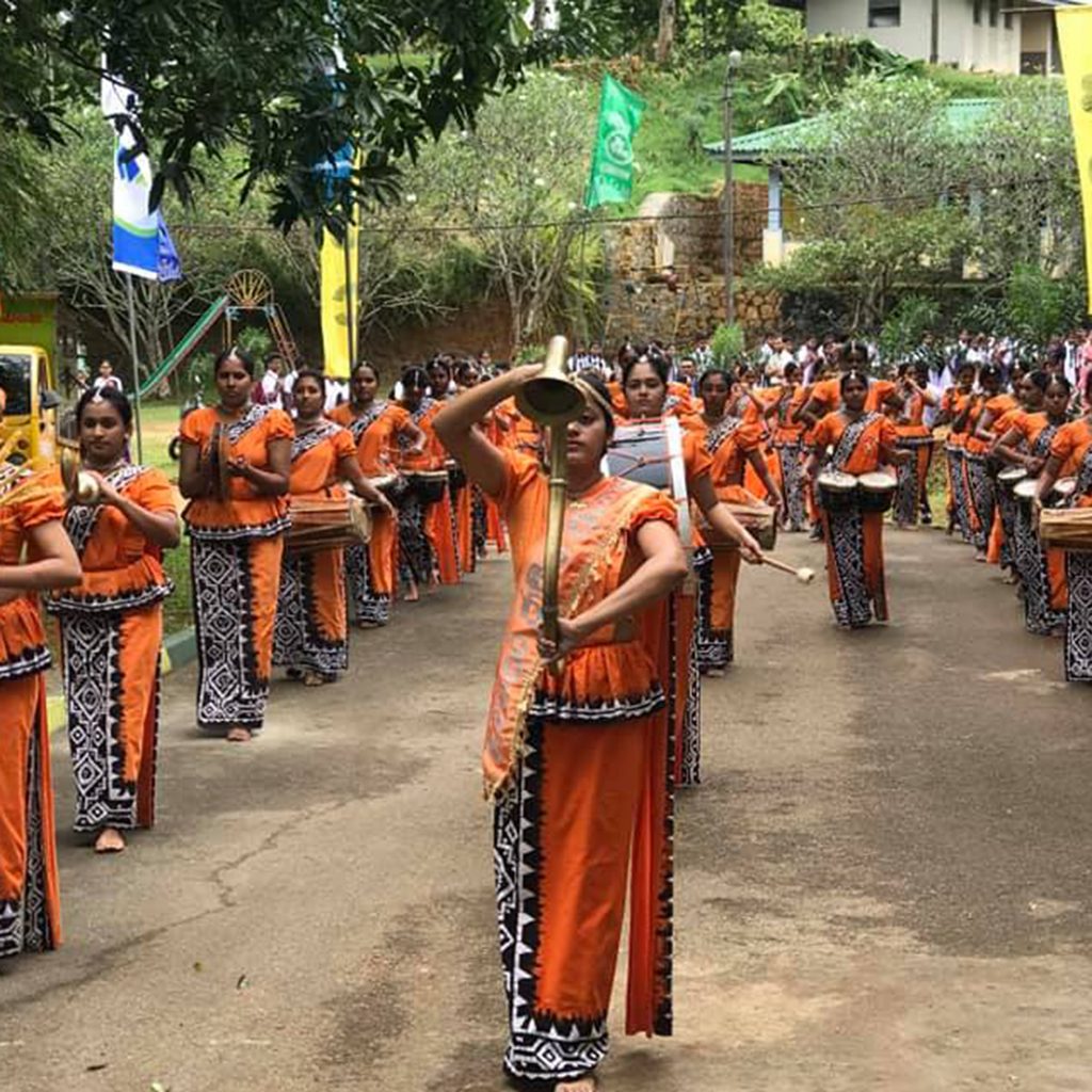 73233883_145431073485543_755056036615815168_n