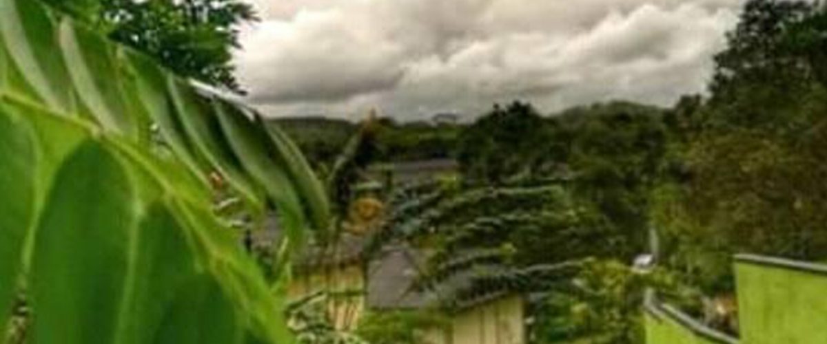 101069694_169451591244061_5394617244755146124_n