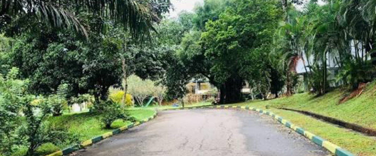 101189854_169451961244024_4610557427987068018_n