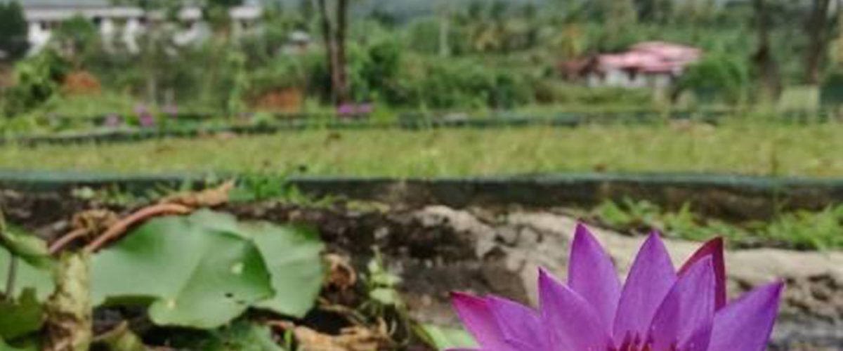 102716305_169451531244067_5497254066730687045_n