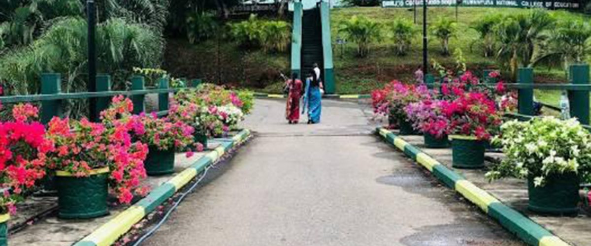 102727464_169451957910691_6600515662451564671_n