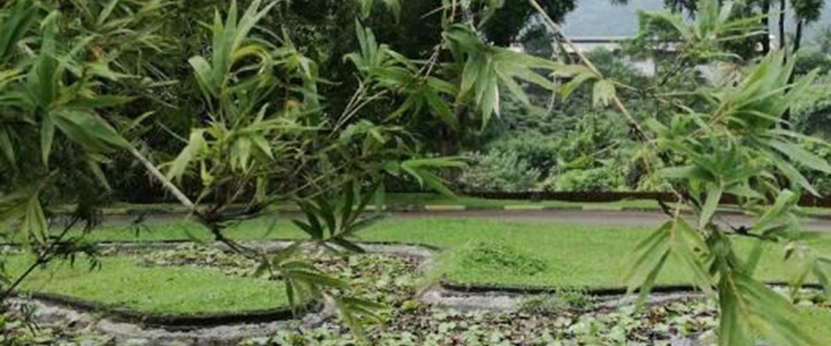 102860020_169451914577362_5607206866514617189_n