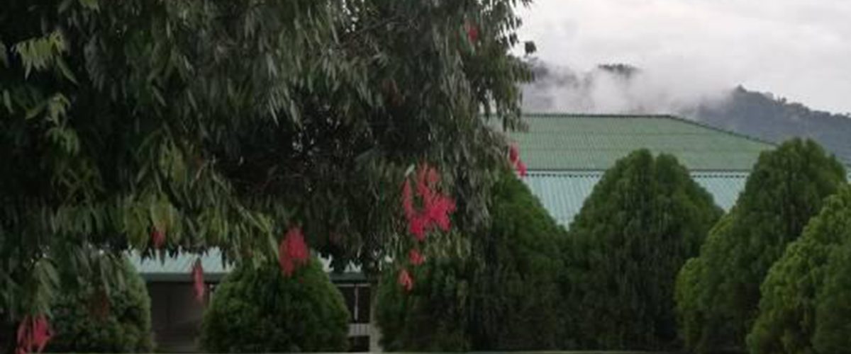 102958979_169451547910732_8401063446210161943_n