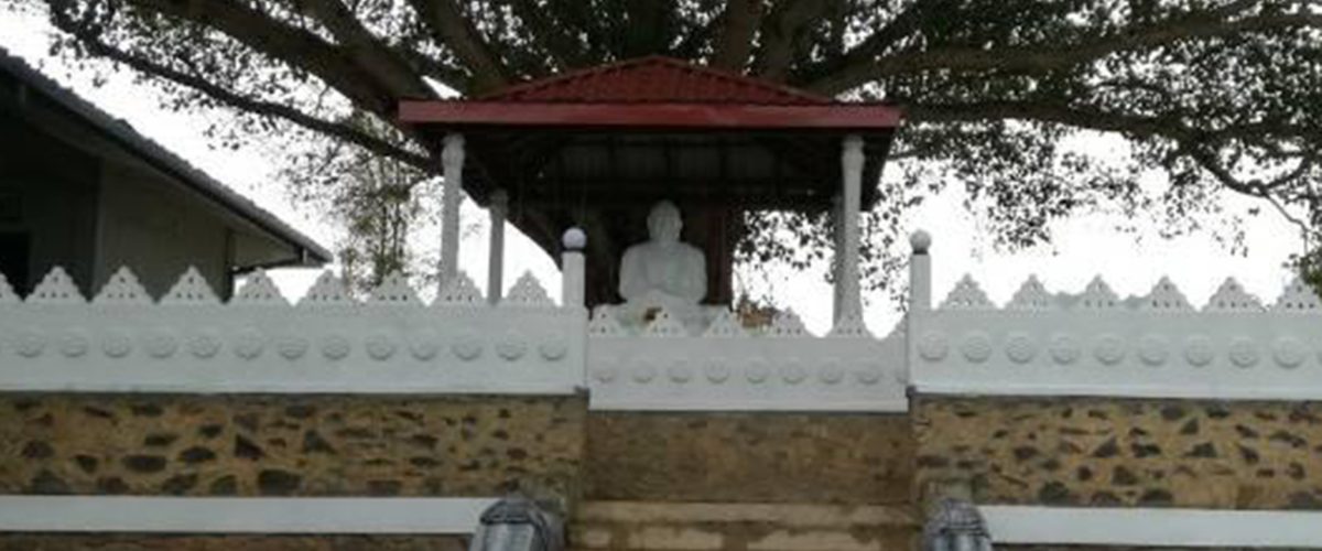 103287443_169451781244042_8169461806713925283_n