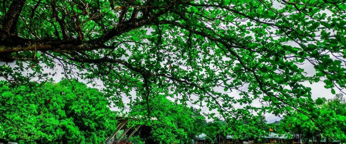 119212326_197272485128638_5413035995644590719_n