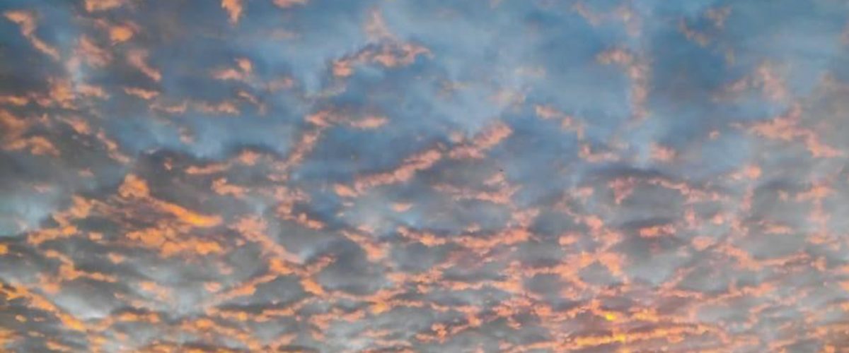 119437437_197272258461994_5725940416484588698_n