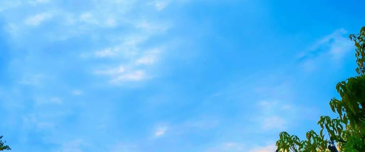 119570411_197272371795316_9064419068122778466_n