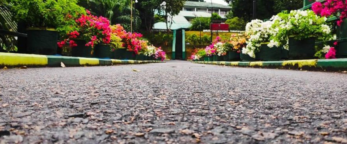 119676525_197272418461978_3262965977031380564_n