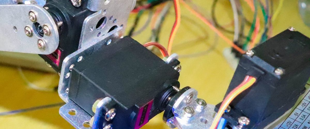 67538380_2473034296260806_4434667863285956608_n