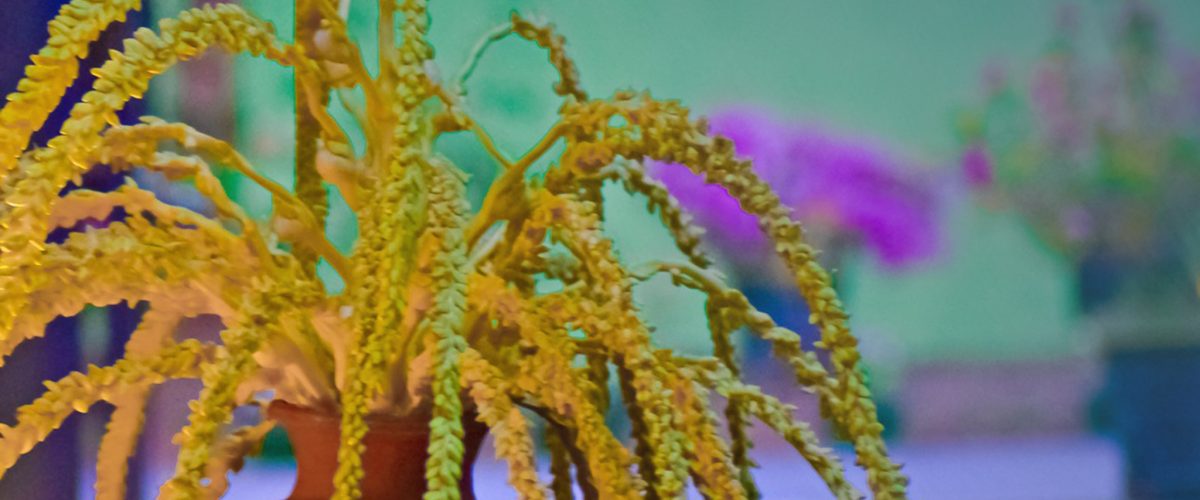 87075282_510783239860825_6381471213079756800_n