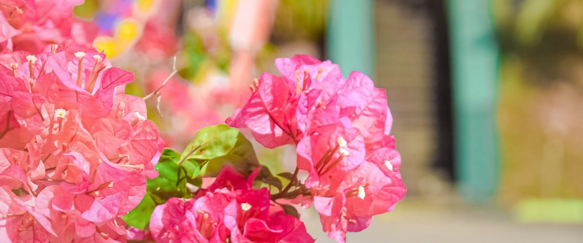 87084359_510780233194459_3095710447253323776_n