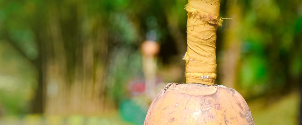 87387784_510778026528013_3189401774381334528_n