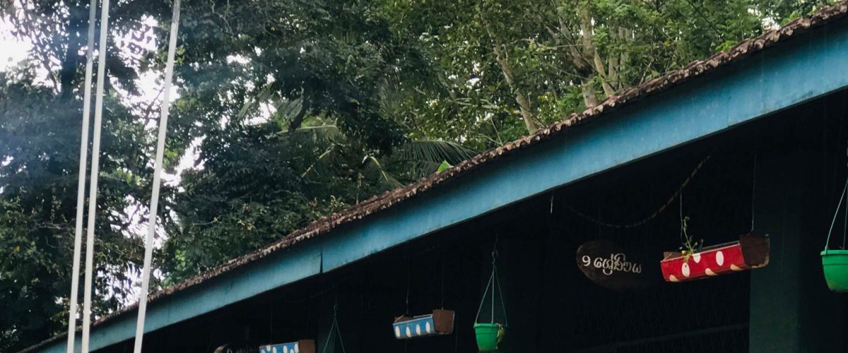 87816852_515906736015142_8982612254893539328_n