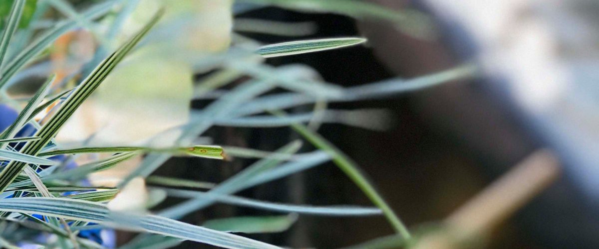 87839159_515896939349455_8104761119010193408_n