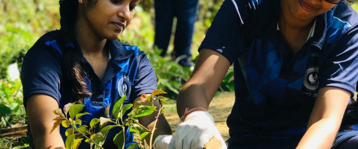 87864590_515895362682946_7306067398623232000_n