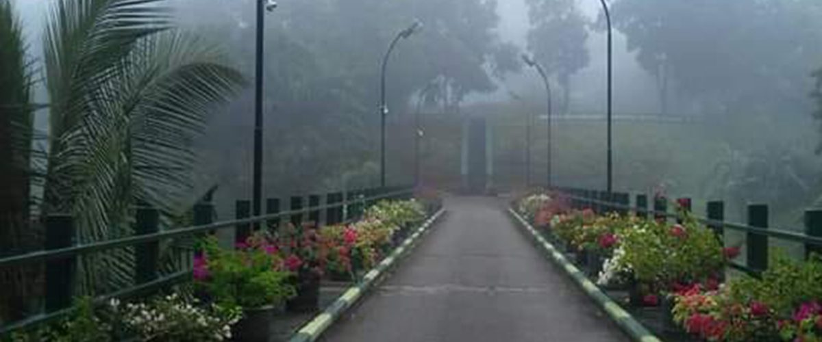 92479499_630619924455030_3331733494467395584_n