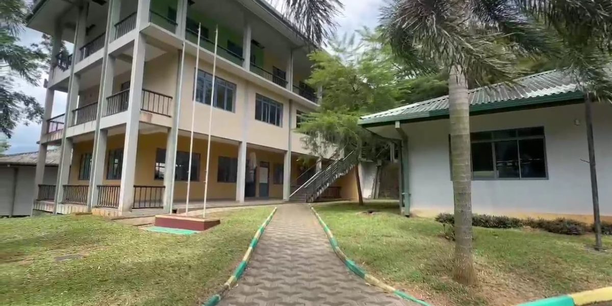 WhatsApp Image 2026-01-14 at 1.56.26 PM (1)